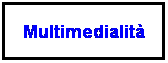 Casella di testo: Multimedialit�
