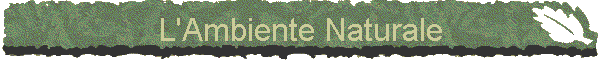 L'Ambiente Naturale