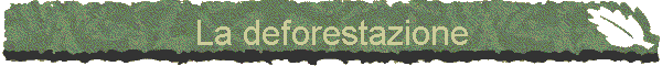 La deforestazione