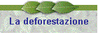 La deforestazione