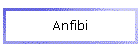Anfibi