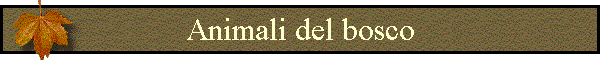 Animali del bosco