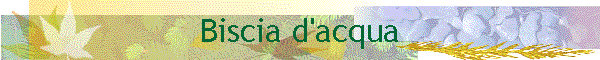 Biscia d'acqua