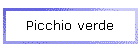 Picchio verde