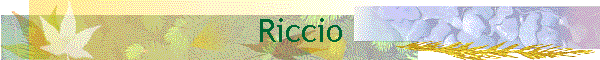 Riccio