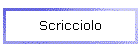 Scricciolo