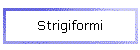 Strigiformi