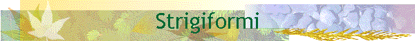 Strigiformi