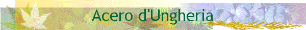 Acero d'Ungheria