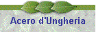 Acero d'Ungheria