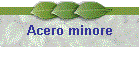 Acero minore