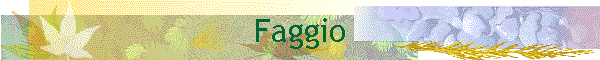 Faggio