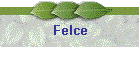 Felce