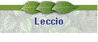 Leccio