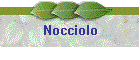 Nocciolo