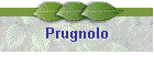 Prugnolo
