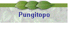 Pungitopo