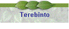Terebinto
