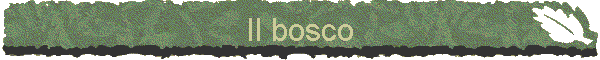 Il bosco