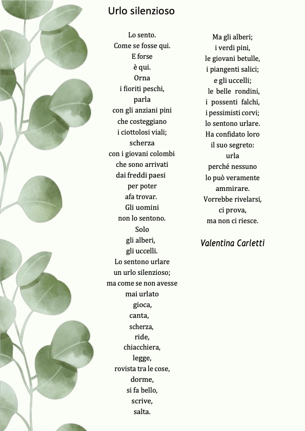 Urlo silenzioso di Valentina Carletti