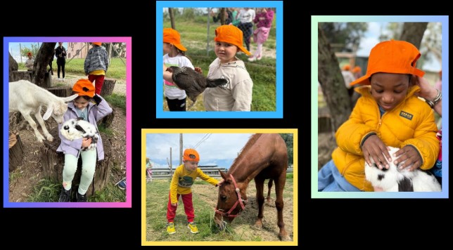 Coccole e apprendimento: la nascita di Anselmo alla Fattoria