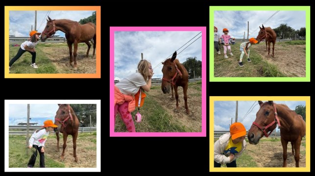 Coccole e apprendimento: la nascita di Anselmo alla Fattoria