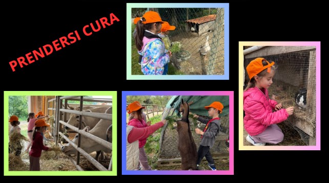 Coccole e apprendimento: la nascita di Anselmo alla Fattoria