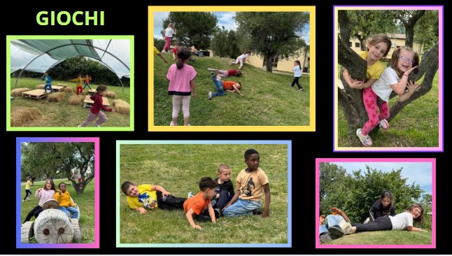 Coccole e apprendimento: la nascita di Anselmo alla Fattoria