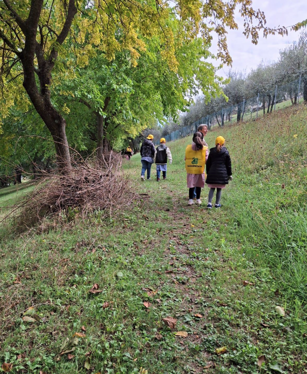 Puliamo il mondo - Montecarotto 2025