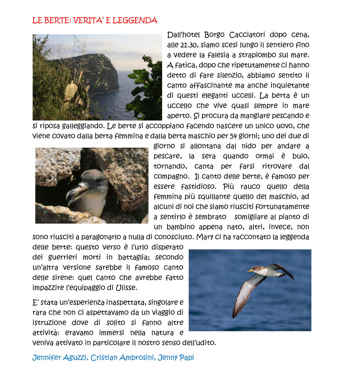 Cartoline da Ventotene