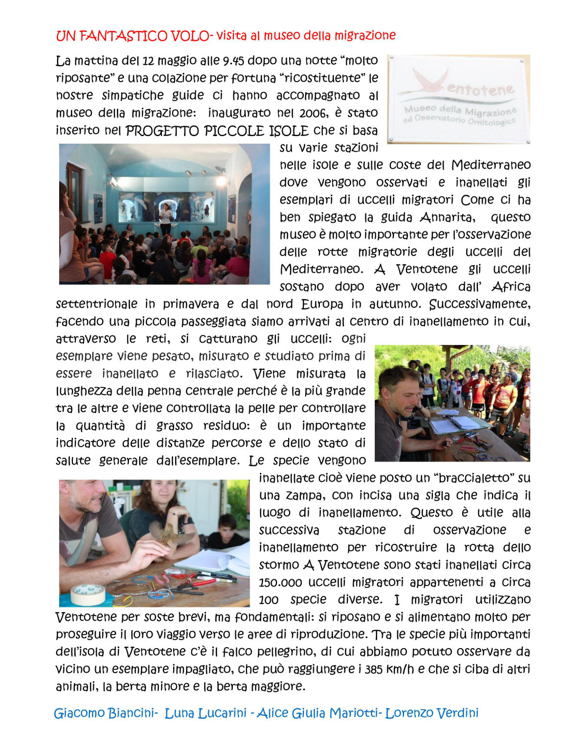 Cartoline da Ventotene