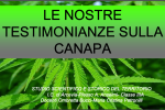 Le nostre testimonianze sulla canapa