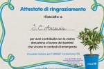 Campagna Ulivi 2026: la Scuola sceglie la solidarietà